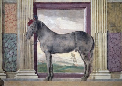 Sala dei Cavalli，详细展示了&39;Morel Favorito&39;的肖像，一匹马来自曼图亚Ludovico Gonzaga III的马厩，1528年 作者 朱利奥·罗马诺